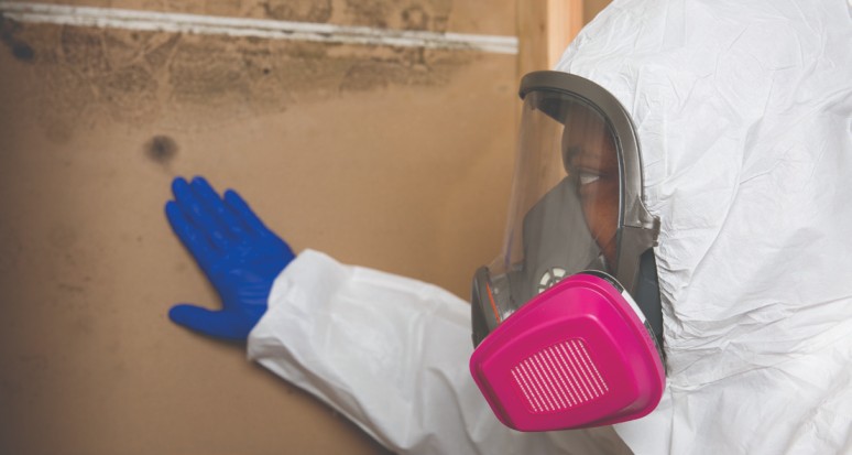 mold remediation inspection in an Arlee MT home